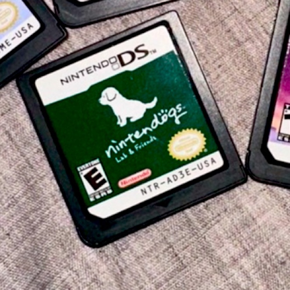 Nintendo DS Game